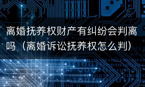 离婚抚养权财产有纠纷会判离吗（离婚诉讼抚养权怎么判）