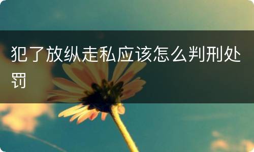犯了放纵走私应该怎么判刑处罚