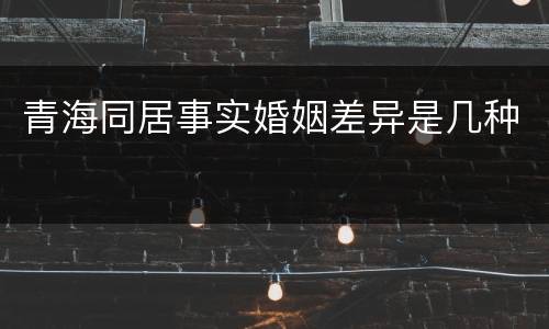 青海同居事实婚姻差异是几种