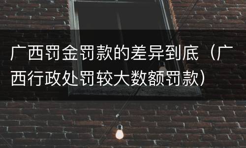 广西罚金罚款的差异到底（广西行政处罚较大数额罚款）