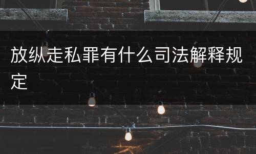 放纵走私罪有什么司法解释规定