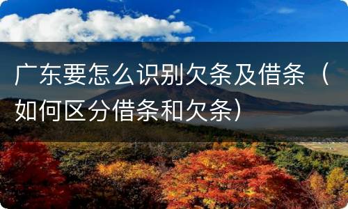 广东要怎么识别欠条及借条（如何区分借条和欠条）