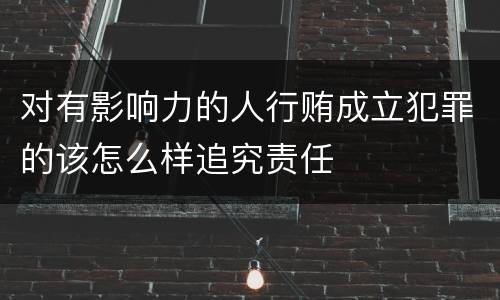 对有影响力的人行贿成立犯罪的该怎么样追究责任