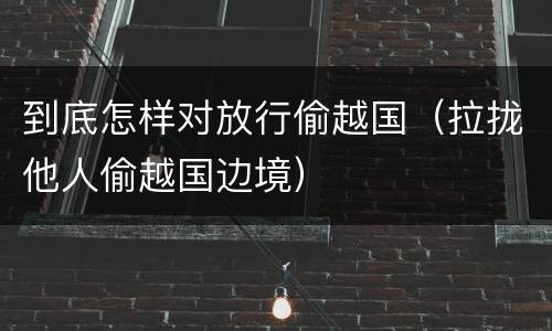 到底怎样对放行偷越国（拉拢他人偷越国边境）