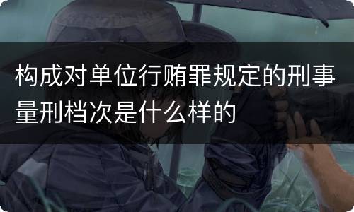 构成对单位行贿罪规定的刑事量刑档次是什么样的