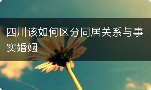 四川该如何区分同居关系与事实婚姻