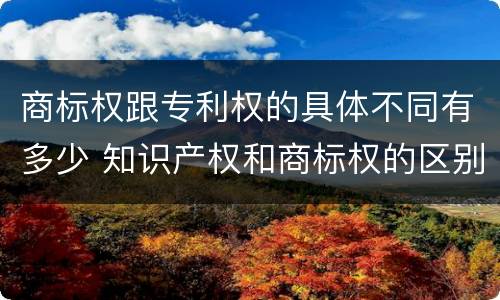 商标权跟专利权的具体不同有多少 知识产权和商标权的区别