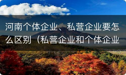 河南个体企业、私营企业要怎么区别（私营企业和个体企业有什么区别）