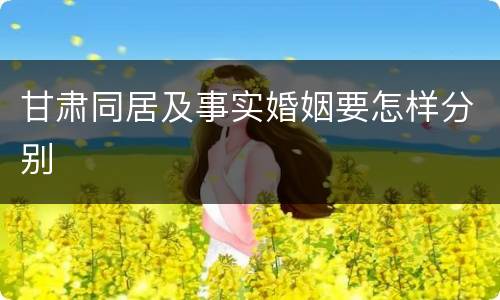 甘肃同居及事实婚姻要怎样分别