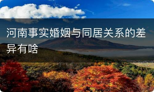 河南事实婚姻与同居关系的差异有啥