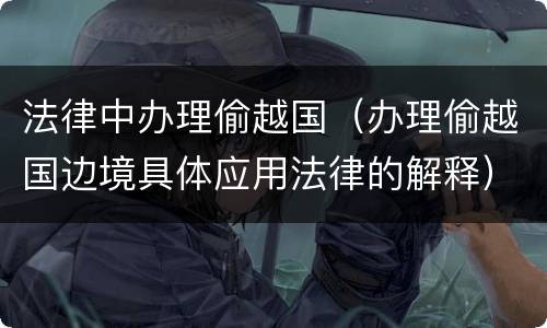 法律中办理偷越国（办理偷越国边境具体应用法律的解释）