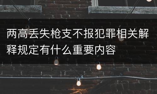 两高丢失枪支不报犯罪相关解释规定有什么重要内容