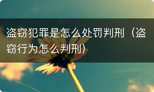 盗窃犯罪是怎么处罚判刑（盗窃行为怎么判刑）