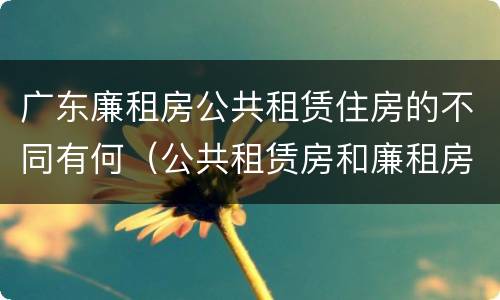 广东廉租房公共租赁住房的不同有何（公共租赁房和廉租房）