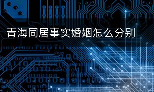 青海同居事实婚姻怎么分别