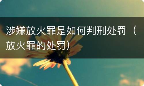 涉嫌放火罪是如何判刑处罚（放火罪的处罚）