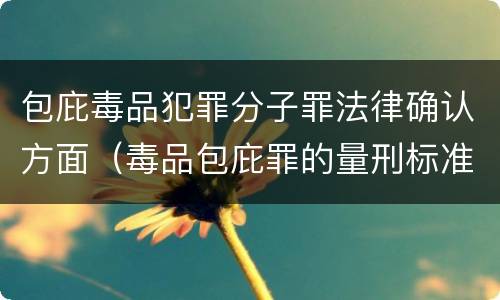 包庇毒品犯罪分子罪法律确认方面（毒品包庇罪的量刑标准）