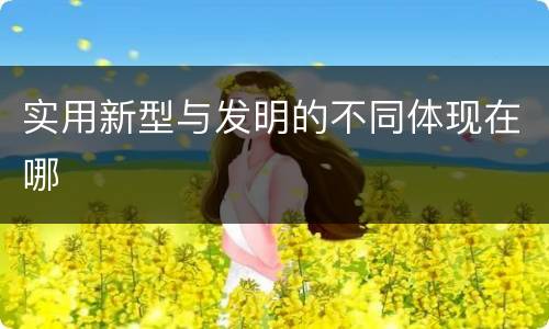 实用新型与发明的不同体现在哪