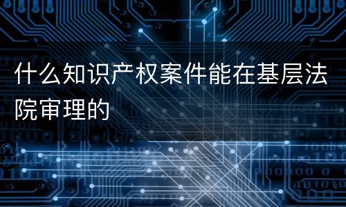 什么知识产权案件能在基层法院审理的