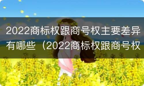 2022商标权跟商号权主要差异有哪些（2022商标权跟商号权主要差异有哪些呢）