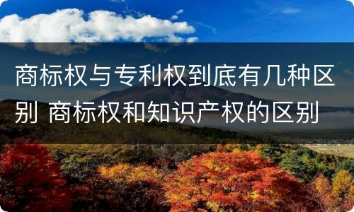 商标权与专利权到底有几种区别 商标权和知识产权的区别