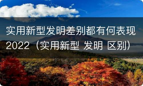 实用新型发明差别都有何表现2022（实用新型 发明 区别）