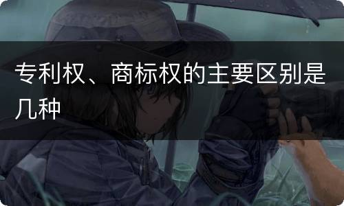 专利权、商标权的主要区别是几种