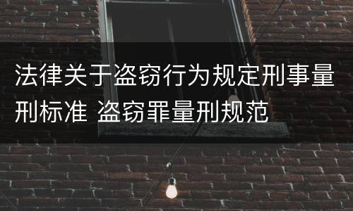 法律关于盗窃行为规定刑事量刑标准 盗窃罪量刑规范