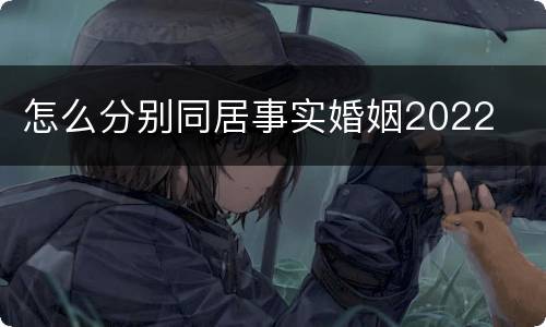 怎么分别同居事实婚姻2022