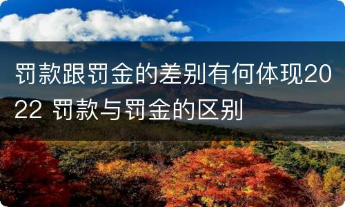 罚款跟罚金的差别有何体现2022 罚款与罚金的区别