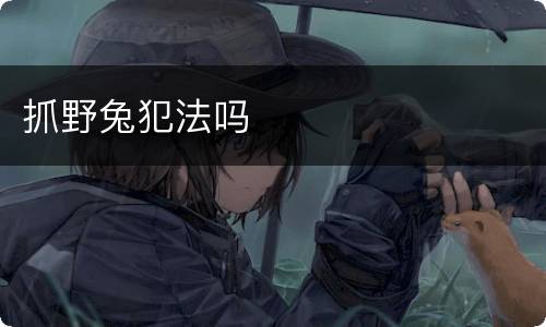 抓野兔犯法吗