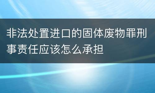 非法处置进口的固体废物罪刑事责任应该怎么承担