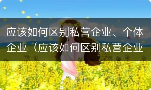 应该如何区别私营企业、个体企业（应该如何区别私营企业,个体企业）