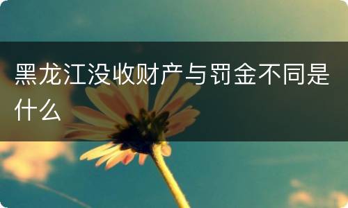 黑龙江没收财产与罚金不同是什么