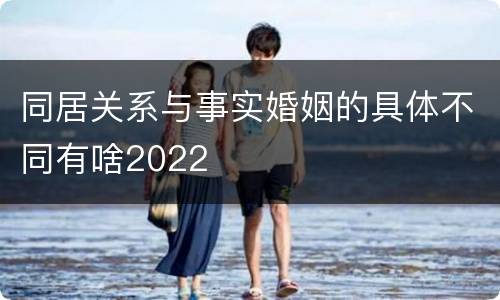 同居关系与事实婚姻的具体不同有啥2022
