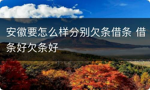 安徽要怎么样分别欠条借条 借条好欠条好