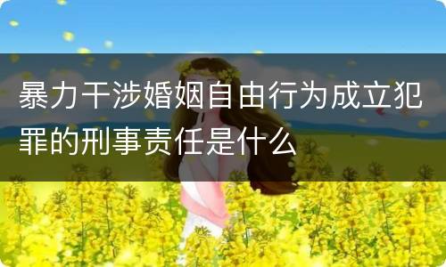 暴力干涉婚姻自由行为成立犯罪的刑事责任是什么