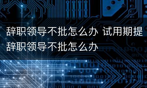 辞职领导不批怎么办 试用期提辞职领导不批怎么办
