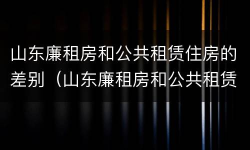 山东廉租房和公共租赁住房的差别（山东廉租房和公共租赁住房的差别是什么）