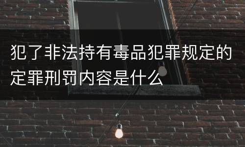 犯了非法持有毒品犯罪规定的定罪刑罚内容是什么