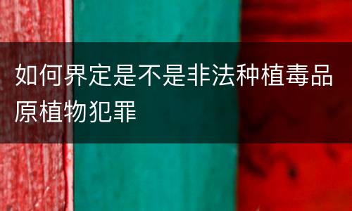 如何界定是不是非法种植毒品原植物犯罪