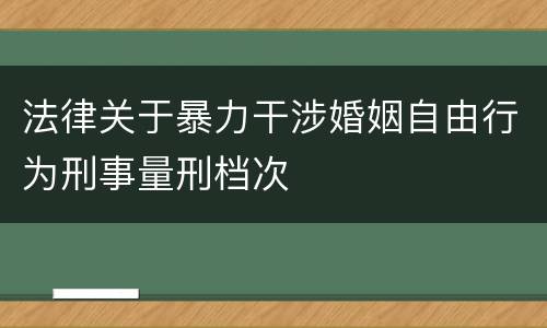 法律关于暴力干涉婚姻自由行为刑事量刑档次