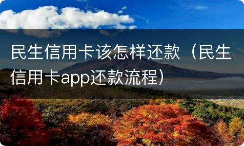 民生信用卡该怎样还款（民生信用卡app还款流程）