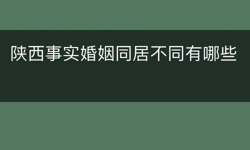 陕西事实婚姻同居不同有哪些