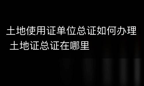土地使用证单位总证如何办理 土地证总证在哪里