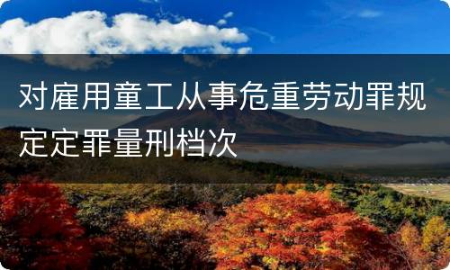 对雇用童工从事危重劳动罪规定定罪量刑档次