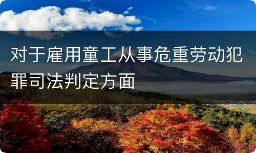 对于雇用童工从事危重劳动犯罪司法判定方面