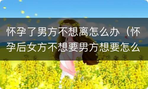 怀孕了男方不想离怎么办（怀孕后女方不想要男方想要怎么办）