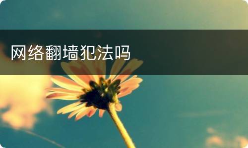 网络翻墙犯法吗