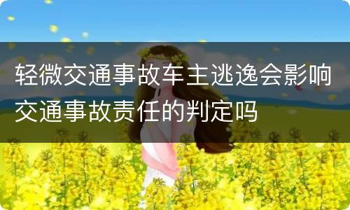 轻微交通事故车主逃逸会影响交通事故责任的判定吗